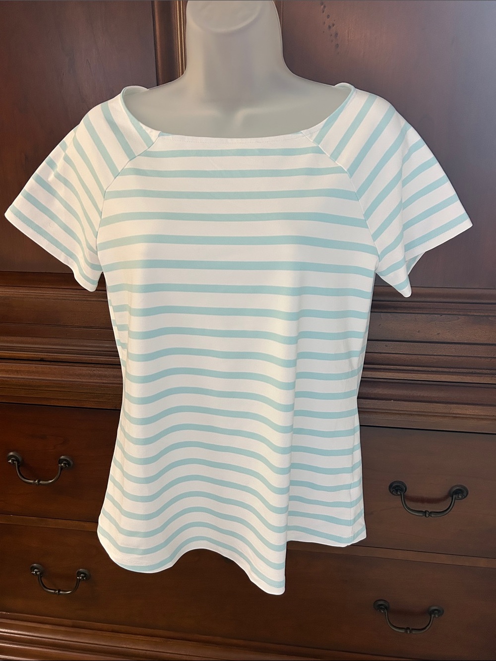 Talbots Light Blue and White Nylon Striped Short-Sleeve Tee/NWOT
